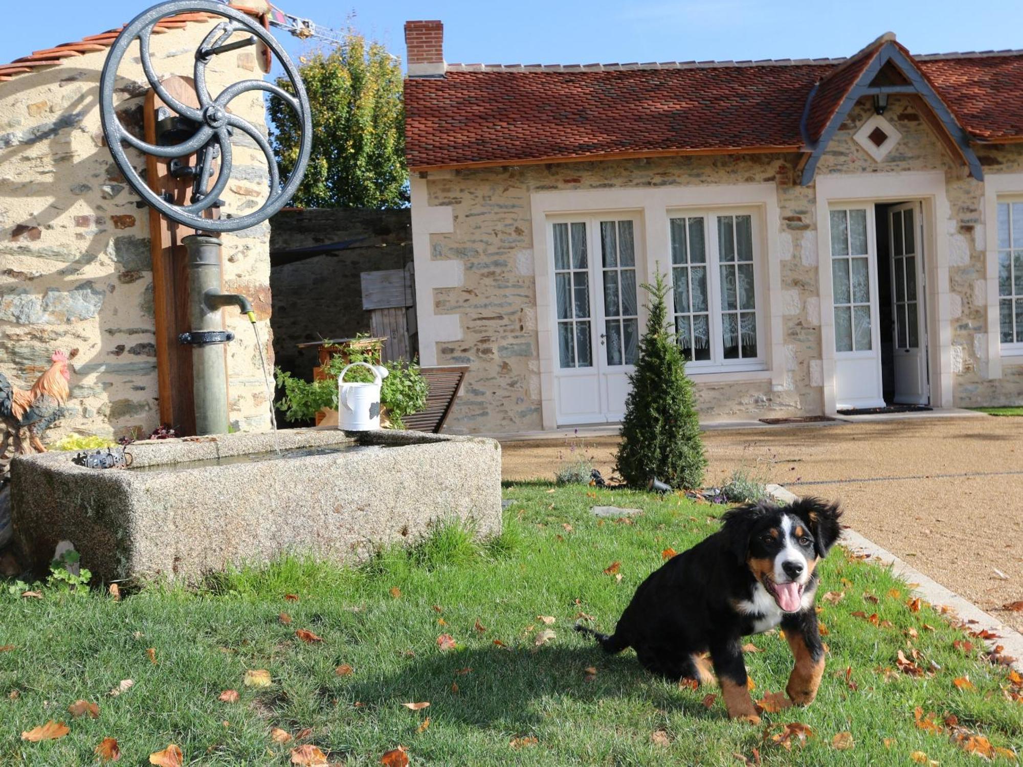 Gite L'Orangerie Villa Mouchamps Exteriör bild