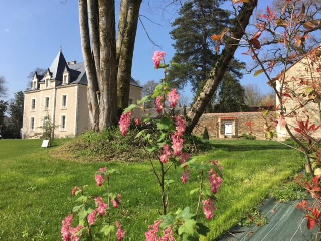 Gite L'Orangerie Villa Mouchamps Exteriör bild